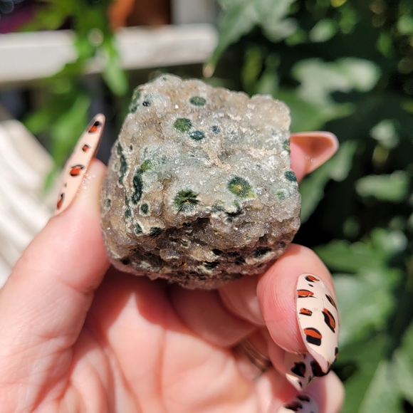 Rough First Vein Ocean Jasper Palm - Picture 1 of 16